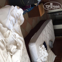 фото из отзыва ID 2068683