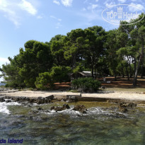 фото из отзыва ID 2062746