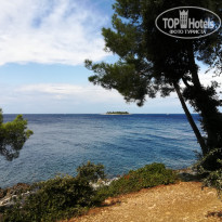 фото из отзыва ID 2062746