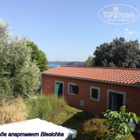 фото из отзыва ID 2062746