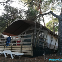 фото из отзыва ID 2062746