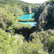 фото из отзыва ID 2062746