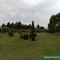 фото из отзыва ID 2062746