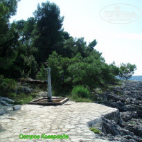 фото из отзыва ID 2062746