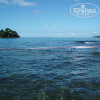 фото из отзыва ID 2062746