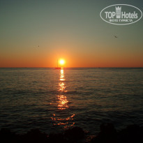 фото из отзыва ID 2062746