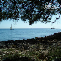 фото из отзыва ID 2062746