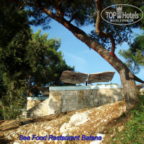 фото из отзыва ID 2062746