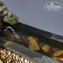 фото из отзыва ID 2069622