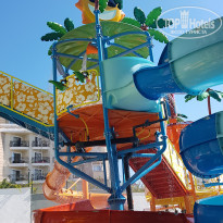 фото из отзыва ID 2069520