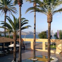 фото из отзыва ID 2069246