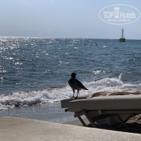 фото из отзыва ID 2065951