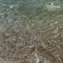 фото из отзыва ID 2065951