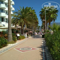 фото из отзыва ID 2063072