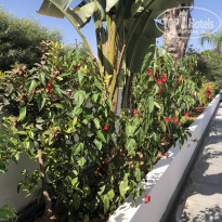 фото из отзыва ID 2069139