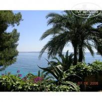 фото из отзыва ID 20734