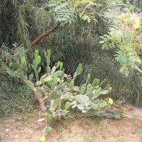 фото из отзыва ID 207759