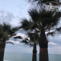 фото из отзыва ID 2070022