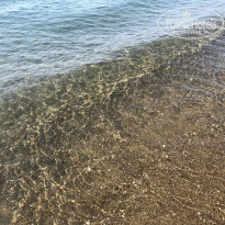фото из отзыва ID 2070040