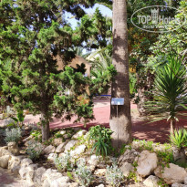 фото из отзыва ID 2070089