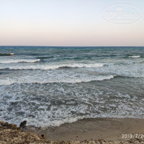 фото из отзыва ID 2070117