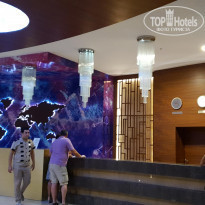 фото из отзыва ID 2070116