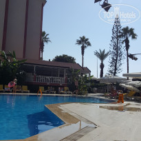 фото из отзыва ID 2070163