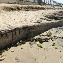 фото из отзыва ID 2070168