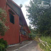 фото из отзыва ID 2070236