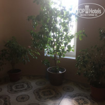 фото из отзыва ID 2070254