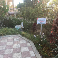 фото из отзыва ID 2070254