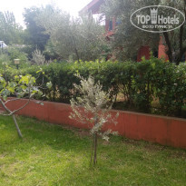 фото из отзыва ID 2070236