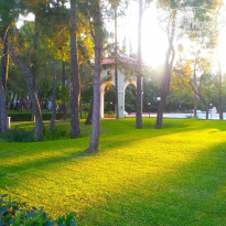 фото из отзыва ID 2070234