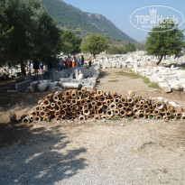 фото из отзыва ID 2070263