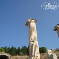 фото из отзыва ID 2070263