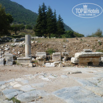 фото из отзыва ID 2070263