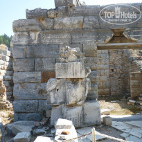 фото из отзыва ID 2070263