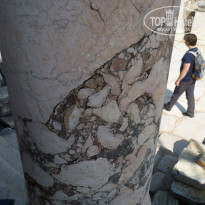 фото из отзыва ID 2070263