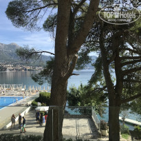 фото из отзыва ID 2070351