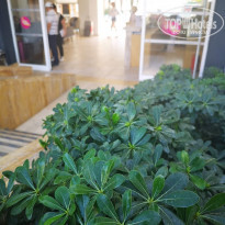 фото из отзыва ID 2070383