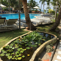 фото из отзыва ID 2070406