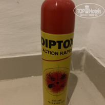 фото из отзыва ID 2070273