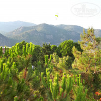 фото из отзыва ID 2070538