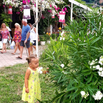 фото из отзыва ID 2070538