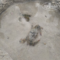 фото из отзыва ID 2070571