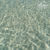 фото из отзыва ID 2070571