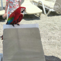 фото из отзыва ID 2070635