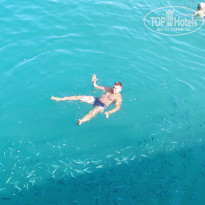 фото из отзыва ID 2070635