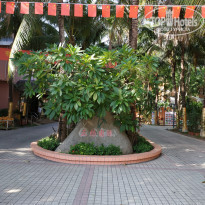 фото из отзыва ID 2070802