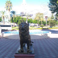 фото из отзыва ID 2070839